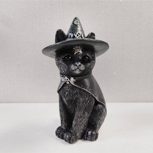 Gato Wicca con gorro de bruja