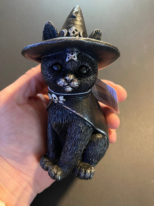 Gato wicca con gorro de bruja en una mano