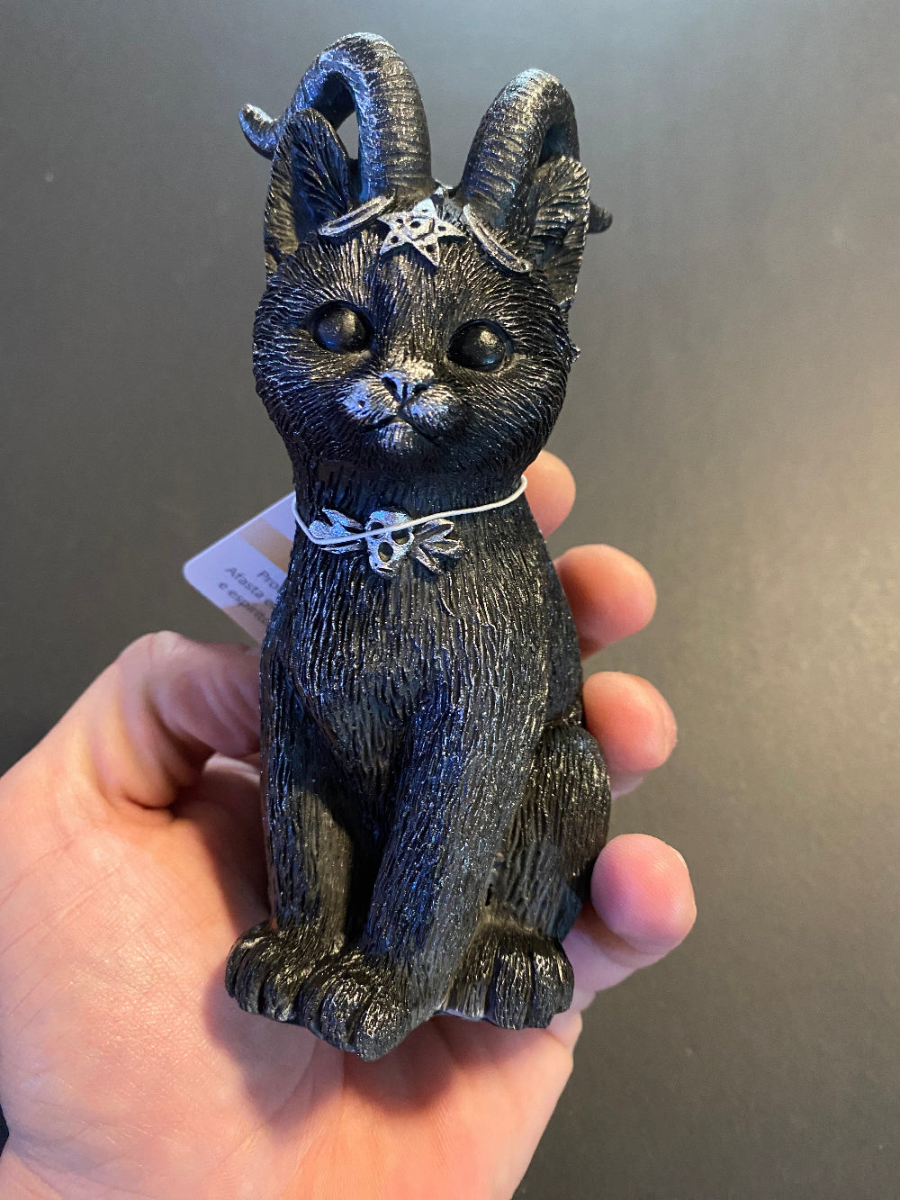 Gato wicca con cuernos en mano