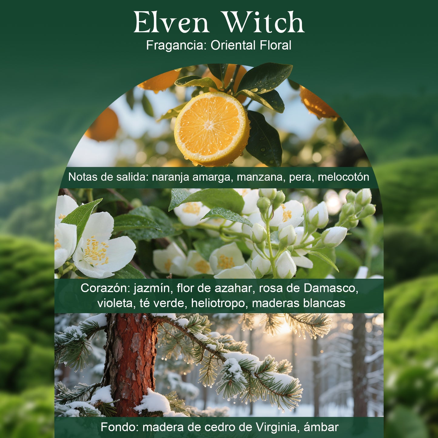 Perfume Elven Witch de Bélliva